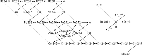 Figure 1. Burnup chain for heavy nuclides.