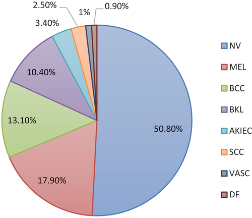 Figure 3. ISIC dataset dermoscopy image distribution of different categories.