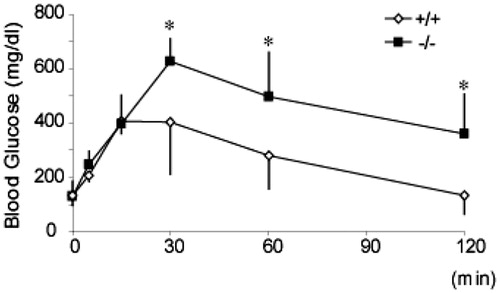 Glucose homeostasis in WT and SPARC-null male mice maintained on a HF diet. Glucose was administered to WT (⋄) or SPARC-null (▪) male mice intraperitoneally, and venous blood samples were drawn at 0, 5, 15, 30, 60 and 120 min. Values are presented as mean ± STDEV. *, p < 0.05, Student's t test.