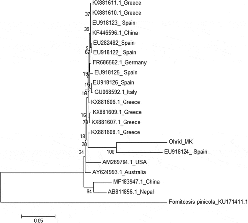 Figure 1. Phylogenetic dendrogram obtained by Neighbor-Joining (NJ) from the ITS rDNA alignment of a selected Inonotus hispidus dataset. Values from 1000 bootstrap replicates are reported on branches. Only accessions reporting the respective geographic origins were entered in the dataset