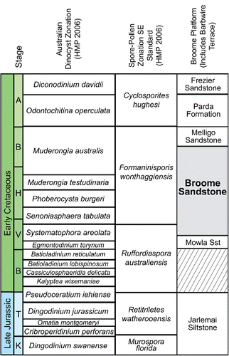 FIGURE 8. Jurassic–Early Cretaceous lithostratigraphic units in the Canning Basin, northwestern Western Australia, with ages and correlated stages following Smith et al. (2013). The Broome Sandstone can be constrained to the Egmontodinium torynum–Mudergonia australis Australian Dioncyst Zone (HMP 2006; Partridge, 2006) and the Ruffordiaspora australiensis–Foraminisporis wonthaggiensis Spore-Pollen Zone (SE Standard) (HMP 2006; Partridge, 2006), thereby making it middle Valanginian to middle Barremian (140–127 Ma; based on Gradstein et al., 2012).