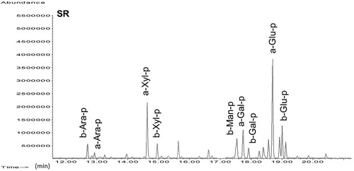 Figure 9. Chromatogram of the paint layer sample from Sta. Rosa Xtampak (SR). Acronyms as in Figure 5.
