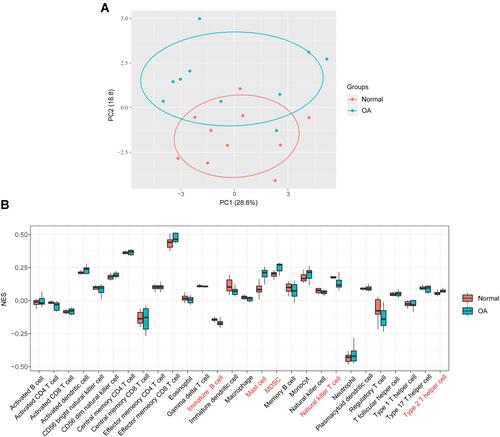 Figure 2 Visualization of immune cell infiltration analysis. (A) The principal component analysis shows the difference in immune cell infiltration between OA patients and normal controls. (B) The proportion of 28 types of immune cells between groups.