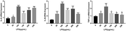 Figure 2. Effect of LPS on the expression of inflammatory factors related to MAC-T cells. *p < 0.05; **p < 0.01; ***p < 0.001 versus the value for cells cultured without LPS.
