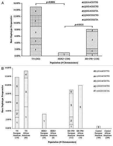 Figure 4 (A) BRCA1 rare haplotype frequencies among breast cancer patients by subtype. Breast cancer patients were grouped by subtype and evaluated for the identified rare haplotypes. The five rare haplotype frequencies are displayed along the Y-axis. (B) Rare Haplotype frequencies by breast cancer subtype and ethnicity. European and African American breast cancer patients were further grouped by breast tumor subtype and evaluated for rare haplotype frequencies. European Americans and African Americans were added as controls.