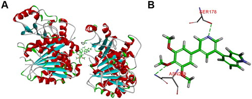 Figure 7. (A) The binding mode of compound 10t in the colchicine binding site of tubulin; (B) overlay of 10t in the binding site.