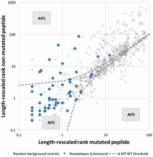 Figure 3. Peptide pairs can be categorized into three distinct affinity patterns. Analysis of the distribution of length-rescaled ranks of mutated/non-mutated peptide pairs revealed three distinct affinity patterns (APs): AP1 corresponds to peptides for which a substantial increase in affinity was associated with the mutational event, AP2 corresponds to peptides for which no appreciable change in binding affinity was introduced by the mutation, and AP3 corresponds to peptides for which a substantial decrease in affinity was associated with the mutational event