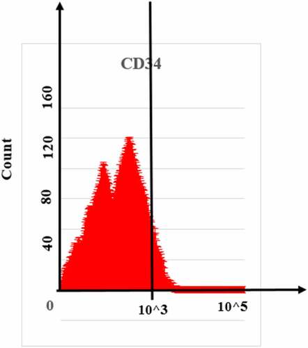 Figure 5. Flow cytometry detection result of EPCs surface marker CD34.