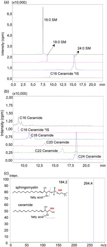 Figure 6 (A) representative pozitif ion mode spectra of sphingomyelins (SM) and ceramides measured in control liver tissue (A) Pozitif ion mode spectra of C16, C18 and C24 SM. (B) Mass spectra of C16, C18, C20, C22 and C24 ceramide. (C) Tandem mass spectra of the analyzed sphingolipids
