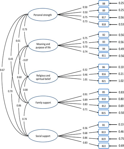 Figure 1. Confirmatory factor analysis model of RSOA (before correction).RSOA: Resilience Scale of Older Adults.