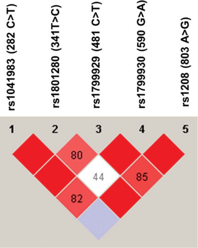 Figure 2. Linkage disequilibrium (LD) of NAT2 genetic variants found among Jordanian volunteers. The LD was carried out using Haploview software. The red squares represent a strong LD, and the white square represents a weak LD. The blue square indicates that there is no LD. Only genetic variants with a frequency higher than 5% were used for identification of LD.
