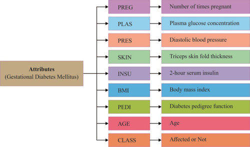 Figure 3 List of attributes in the gestational diabetes mellitus dataset.