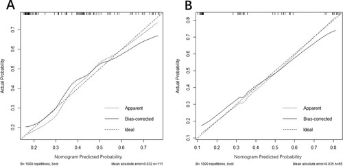 Figure 3. Calibration plots of the nomogram for predicting steroid-resistance in ITP patients. (A) Calibration plots of the nomogram for the training cohort. (B) Calibration plots of the nomogram for the external validation cohort. The diagonal dotted line represents a perfect prediction by an ideal model. The solid line stands for the performance of the nomogram, of which a closer fit to the diagonal dotted line represents a better prediction of the nomogram.