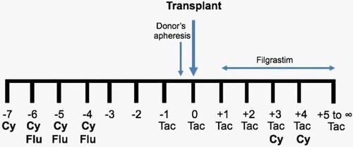 Figure 1. Scheme of the ‘Mexican Method’ to conduct haploidentical hematopoietic stem cell transplants on an outpatient basis. Cy = cyclophosphamide; pre-transplant Cy: 500 mg/m2; post-transplant Cy: 25 mg/Kg. Flu = fludarabine, 25 mg/m2. Tac = tacrolimus.