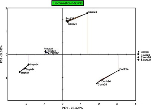 Figure 3 PCA scores plot of bacterial isolates (Escherichia coli, Staphylococcus aureus, and Pseudomonas aeruginosa) after 24 hrs of inoculation, showing high discrimination index value of 96 between samples. PC1 and PC2 explain 97% of the total variation.Abbreviation: PCA, Principal Component Analysis.