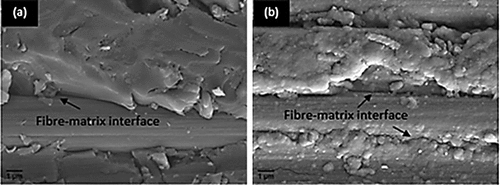 Figure 14. SEM images of the carbon fiber/epoxy interface of carbon fiber composites[Citation106].