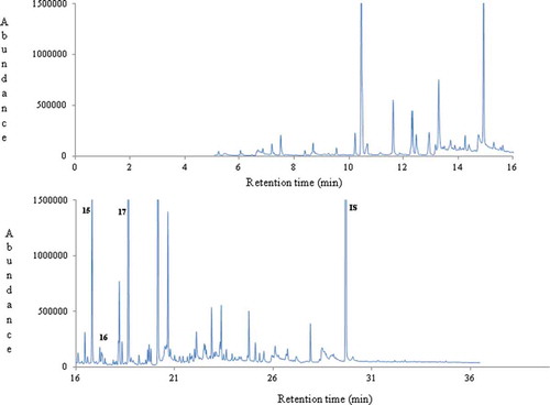 Figure 4. A typical gas chromatogram of thyme honey (no.2) from Greece. Key volatile compounds of geographical origin are numbered (15-17) and indicated in bold. IS: internal standard.
