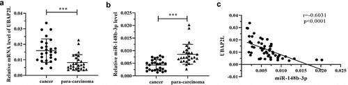 Figure 2. The expression of UBAP2L was increased in gastric cancer tissues