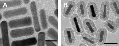 Figure 1 TEM images of (A) GNRs (scale bar =20 nm) and (B) GNRs@mSiO2 (scale bar =50 nm).Note: GNRs@mSiO2, mesoporous silica-encapsulated gold nanorods.Abbreviations: TEM, transmission electron microscope; GNRs, gold nanorods.