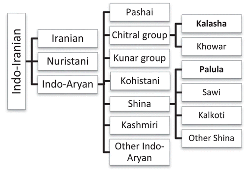 Figure 1. The place of Kalasha and Palula within Indo-Iranian (the internal classification largely follows Bashir (Citation2003, 824–825)).