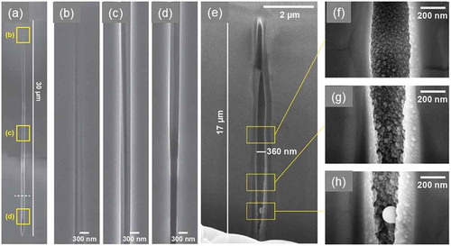 Figure 6. Left: (a) Embedded void structures induced in sapphire by fs pulse Bessel illumination. (b,c,d) Scanning electron microscopy views on selected potions. Smooth void borders are seen, compatible with a spallation process. (e) Embedded void structures induced in sapphire by ps pulse Bessel illumination. (f,g,h) Scanning electron microscopy views on selected potions. A topography consistent with nucleation and cooling is seen. Courtesy of F. Courvoisier, FEMTO-ST. Data from Ref [Citation103].