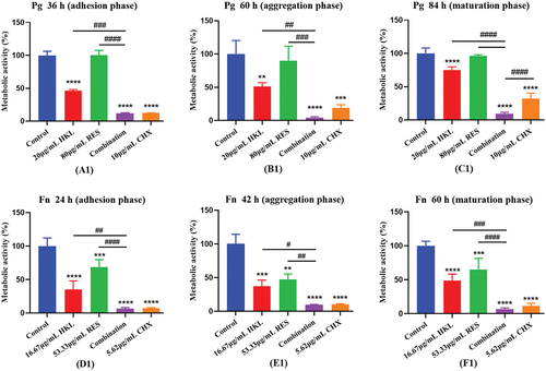 Figure 2. Effect of drugs on bacterial metabolic activity at each stage of Pg and Fn biofilm formation (n=3).