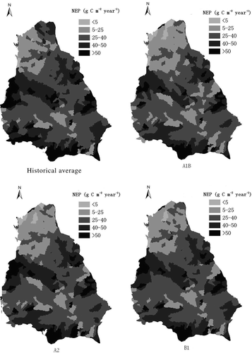 Fig. 8 Annual NEP distribution in the Jinghe basin: historical simulation and under different climate change scenarios.