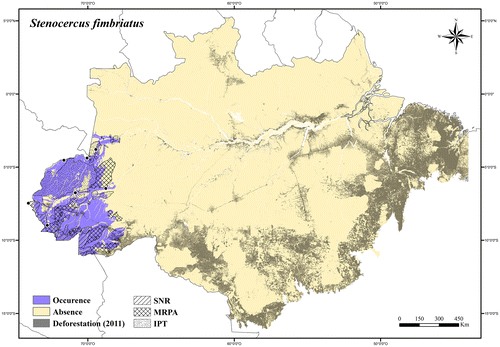 Figure 121. Occurrence area and records of Stenocercus fimbriatus in the Brazilian Amazonia, showing the overlap with protected and deforested areas.