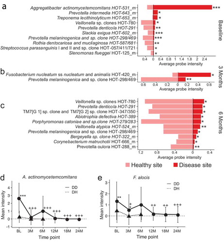 Figure 1. Differentially abundant species between disease and healthy sites before and after treatment in C/MIP patients. Species with a significant 2-fold difference in intensity between DD and DH sites at (a) Baseline, (b) 3 months post-treatment, and (c) 6 months post-treatment. (d) Mean intensity of A.a. in DD and DH sites through the study period. E. Mean intensity of F. alocis in DD and DH sites through the study period. DH site samples from 12 M, 18 M, and 24 M had too little material for HOMIM analysis. Values are mean ± SD. *P < 0.05, **P < 0.01, ***P < 0.001 between DD and DH. +P < 0.05, ++P < 0.01, +++P < 0.001 in DD compared to baseline. DD – diseased sites in C/MIP; DH – healthy sites in C/MIP.