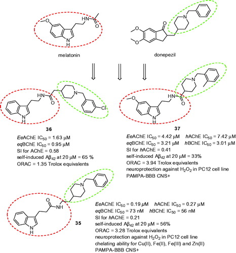 Figure 8. The MTDLs combining melatonin and donepezil templates.