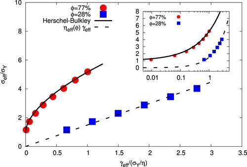 Figure 6. (Main panel) Flow curves for the emulsions with ϕ=77% (red bullets) and ϕ=28% (blue squares), showing effective shear stress, σeff (normalized with the yield stress σY), vs effective shear rate, γ˙eff (normalized with the yield stress divided by the dynamics viscosity σY/η), as defined in Equations (Equation3(3) σeff=⟨σ2⟩1/2=(L2π)F2(3) )–(Equation4(4) γ˙eff≡⟨σ(y)γ˙(y)⟩⟨σ2(y)⟩1/2,(4) ). The solid line indicates a Herschel–Bulkley fit, σ=σY+Kγ˙β, with σY=2.5×10−5 lbu, K = 0.02 lbu, β=0.58, whereas the dashed line represents the Newtonian relation σ=ηeffγ˙, with an effective viscosity compliant with the Taylor's prediction for equiviscous, low concentrated, emulsions, namely ηeff(ϕ)=η(1+(7/4)ϕ). (Inset) Same as in the main panel but in log-log scale.