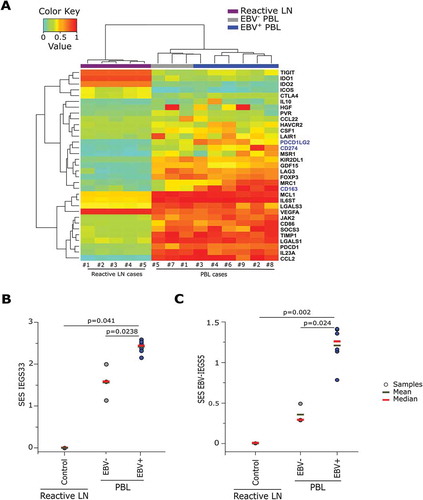 Figure 2. Distinct immune escape gene signatures in reactive lymphoid tissues and in EBV− and EBV+ plasmablastic lymphomas.Unsupervised hierarchical clustering of the IEGS33 genes rank-ordered by increasing expression level along the [0–1] segment (highest expression level = 1: red, lowest expression level = 0: cyan). The clustering was performed according to IEGS33’ genes expression in reactive lymph nodes, EBV+ and EBV− PBL. Genes in blue were significantly different between EBV− and EBV+ PBL (p < 0.05, unpaired Wilcoxon test) (A). Sample Enrichment Score (SES) of IEGS33 genes set (B) and EBV-IEGS5 genes set (C) in control, EBV− and EBV+ PBL. Each sample is shown by a dot, blue bars are the means of the specified group, red bars are the medians of the specified group. P-value from unpaired Wilcoxon test between EBV− and EBV+ PBL samples are indicated.