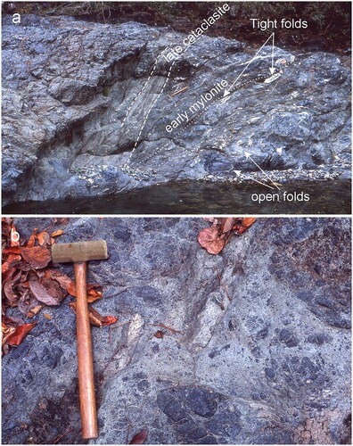 Figure 6. Photographs of the Eastern Sector of Miomaffo massif. (a) Melange with basaltic matrix and various lighter blocks of veins and volcaniclastic rocks. Shallowly dipping dominant foliation and early mylonite zone cut by late cataclastic fault zone to the left of hammer. (b) Texture of a section of late cataclasite. Hammer handle is 40 cm long.