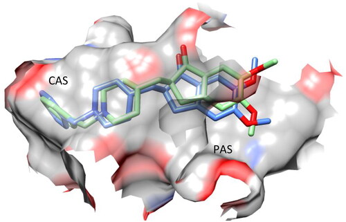 Figure 5. Superposition of the X-ray (blue) and docked (light green) structures of donepezil within the active site of AChE.