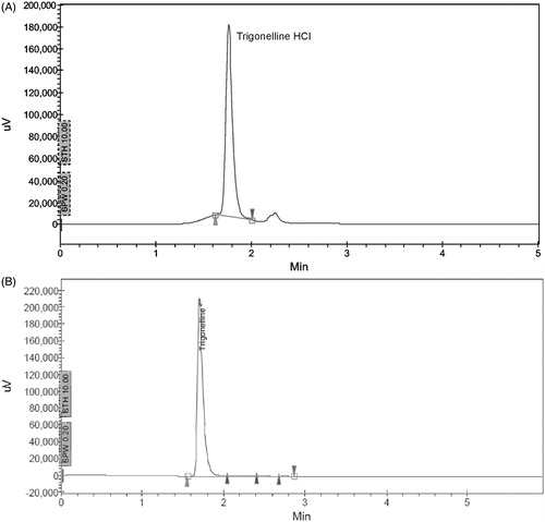 Figure 1.  HPLC fingerprint (wavelength of 254 nm) showing peaks at retention time = 1.7 min for the marker compound, TGN identified as HCl in (A) SFSE-T and (B) reference standard.