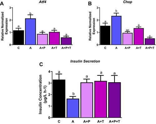 Figure 4 Angiotensin receptor inhibitors reduce ER stress. INS-1E cells treated with telmisartan (T; AT1 inhibitor), P186 (P; AT2 inhibitor) reduce ER stress as shown by (A) activated transcription factor 4 (Atf4) gene levels, (B) C/EBP homologous protein (Chop) gene levels and (C) improved insulin secretion. Data are presented as mean ± SEM (n=4-5 each group). Means without the same letter are different.