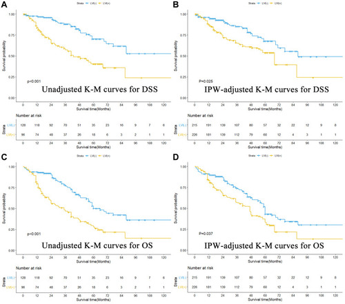 Figure 1 Unadjusted and IPW-adjusted Kaplan–Meier analysis of disease-specific survival (DSS) and overall survival (OS) in patients with non-metastatic adenocarcinoma of esophagogastric junction after radical surgery. (A) Unadjusted K-M curves for DSS. (B) IPW-adjusted K-M curves for DSS. (C) Unadjusted K-M curves for OS. (D) IPW-adjusted K-M curves for OS.