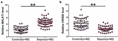 Figure 1. Altered MALAT1 and CRNDE expression levels were observed in sepsis.