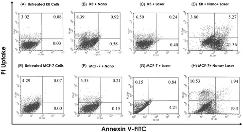 Figure 7. Flow cytometric analysis to determine death modes of KB and MCF-7 cells after receiving various treatments. Cells were double-stained with Annexin V-FITC and PI to detect early apoptosis and necrosis, respectively.