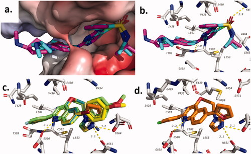 Figure 6. Docking of target compounds in the active site FAK. (a) validation of docking procedure showing overlapping of crystalised (blue) and docked (pink) poses; (b) interactions of AZW592 with FAK; (c) general binding of 16 and 20 compound series; (d) docking pose of 20e.