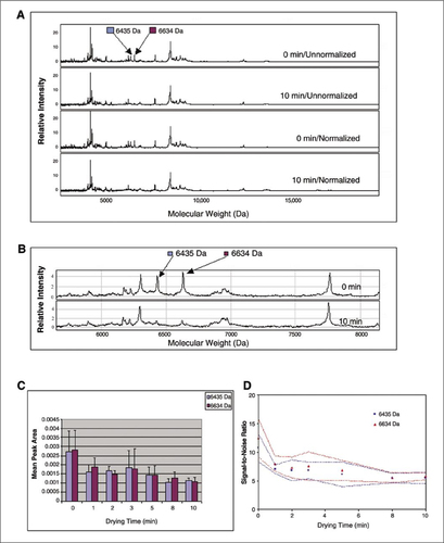 Figure 1.  LSAX30 ProteinChip array data summary. (A) Representative unnormalized and normalized spectra at time point 0 min and time point 10 min. (B) Expanded view of normalized spectra showing peaks of interest at time point 0 min and time point 10 min. (C) Mean peak area (± sd) representation for two peaks of interest at each drying time. (D) Mean signal-to-noise ratio (± sd) representation for two peaks of interest at each drying time.