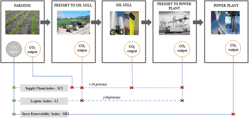 Figure 2 The proposed plant oil SC schema.