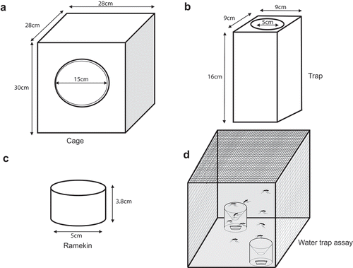 Figure 1. Mosquito water trap assay. (a) Illustrations showing the dimensions of a mosquito cage, (b) trap, and (c). ramekin used for the water trap assay (d) Illustration showing ramekin housed in a trap and set at an angle 45° opposite each other and 3.7cm apart. One of the ramekins contained 25ml deionized water whereas the other was left blank.