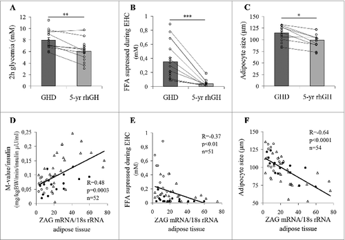 Figure 1. Positive effects of 5-year GH replacement therapy on the whole-body and adipose tissue metabolic phenotypes. The effect of 5-year GH replacement therapy on (A) glucose tolerance (2h glycemia in oral glucose tolerance test), (B) adipose tissue insulin sensitivity (ability of insulin to suppress FFA during EHC) and (C) adipocyte size (lines connect the data points of the “real follow-up” patients). Associations of adipose tissue ZAG gene expression with the (D) whole-body and (E) adipose tissue insulin sensitivity (ability of insulin to suppress FFA during EHC) and (F) adipocyte size (Δ controls; ○ baseline GH naive patients; GH treated GHD patients). GHD, patients with growth hormone deficiency; EHC, euglycemic hyperinsulinemic clamp; FFA, free fatty acids; ZAG, zinc-α2-glycoprotein; rhGH, recombinant human growth hormone; *P < 0.05; **P < 0.01; ***P < 0.001.