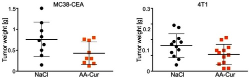 Figure 8 Analysis of anti-tumor activity of intravenously administered AA-Cur.Notes: (A) C57BL/6 mice bearing MC38-CEA subcutaneous tumors and (B) BALB/c mice bearing orthotopic 4T1 breast tumors were injected iv with of 0.9% NaCl or AA-Cur (70 mg/kg bm). Two days after the last injection animals were sacrificed and isolated tumors were weighted. Each point represents individual mouse. The line for each group represents the mean ± SD (n=9 for MC38-CEA tumors and n=12 for 4T1 tumors).Abbreviations: AA-Cur, alginate-curcumin conjugate; CEA, carcinoembryonic antigen.