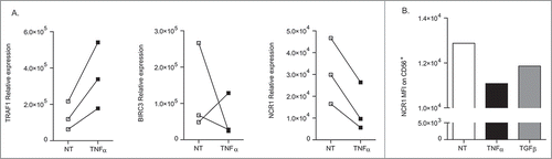 Figure 5. TNFα-mediated downregulation of NCR1 in intratumor GIST NK cells. Same experimental settings as in Fig. 4, after sorting of NK cells from fresh GIST tumors. RT-qPCR expression of TRAF1, BIRC3, as well as NCR1 after stimulation with rTNFα at 12 h of ex vivo stimulation in 3 GIST tumors. (B) Membrane expression of NKp46/NCR1 after 48 h incubation of NK TIL with rTGFβ or TNFα in mean fluorescence intensity. MFI were superimposable using an isotype control staining in all conditions of stimulation (not shown).