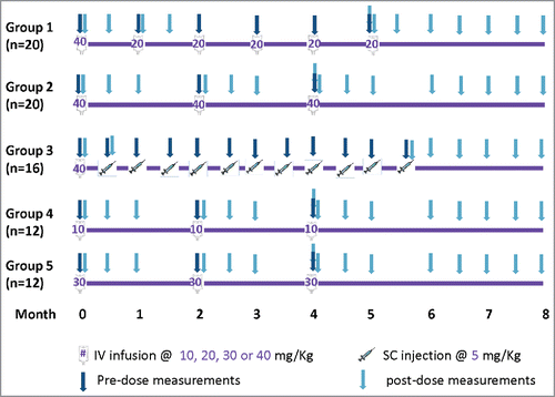 Figure 1. Study schema and VRC01 serum concentration sampling schedule in HVTN104.