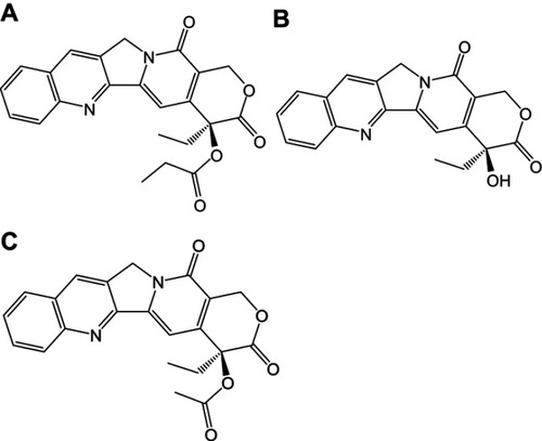 Figure 1 Chemical structures of CZ48 and its analogs: (A) CZ48; (B) CPT; (C) CZ44.Abbreviation: CPT, camptothecin.