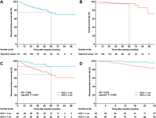 Figure 3 Overall and recurrence-free survival in 131 patients with solitary HCC up to 2 cm. (A and B) Kaplan–Meier curves for recurrence-free survival (A) overall survival (B) and after surgical resection of total HCC cohort. (C and D) Kaplan–Meier curves for overall recurrence (C) and early recurrence (D) after surgical resection of HCC according to tumor size.