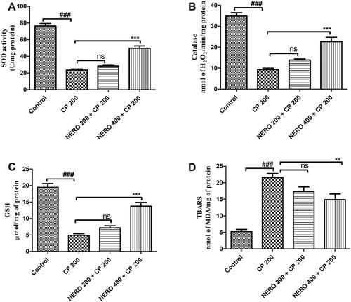 Figure 2. Showing the effect of nerolidol 200 and 400 mg/kg, p.o against cyclophosphamide-induced oxidative stress markers in the renal tissue. One-way ANOVA i.e., tukey’s multiple comparison tests was used for statistical analysis.